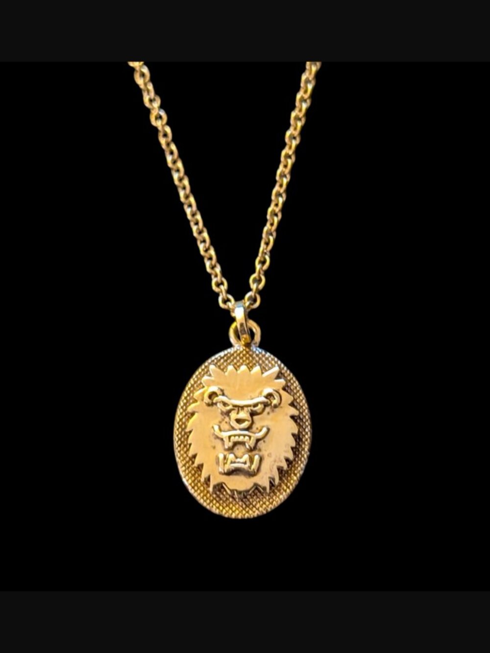 Mejuri 925 Sterling Silver Oval Lion 16.8mm Leo Zodiac Necklace 22" Long Chain